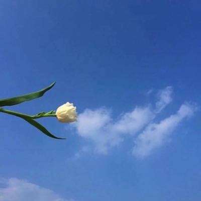 现代战场射击游戏下载