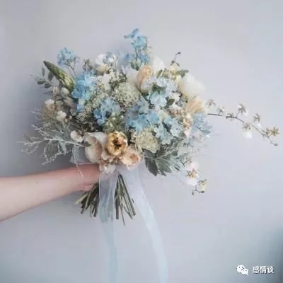 瑰雪黑阳bilibili下载